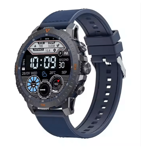 LC313 Smart Watch display