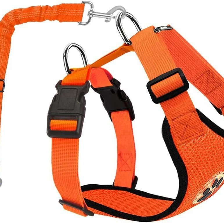 9f96ed68d8391ee1e6f8039ca2d0b2dc